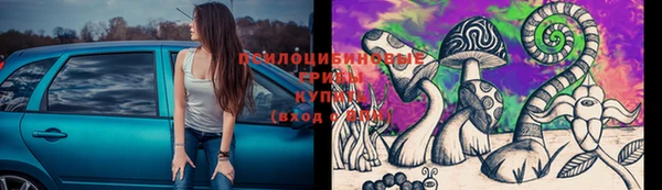 первитин Белоозёрский