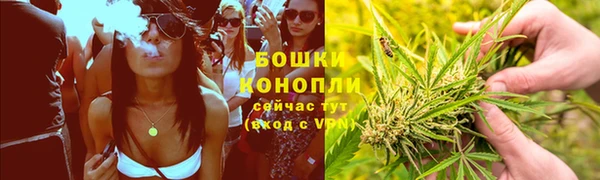 индика Белокуриха