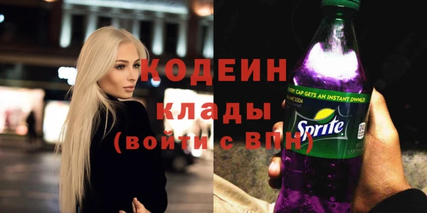 индика Белокуриха