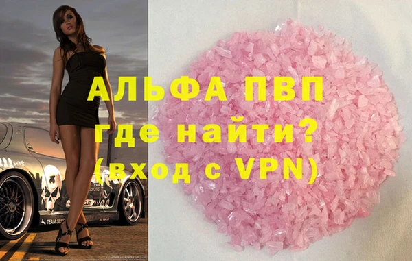 индика Белокуриха