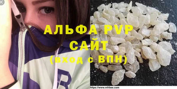 индика Белокуриха