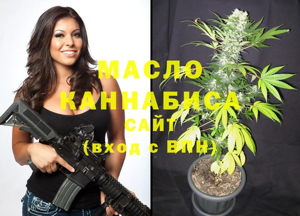 индика Белокуриха